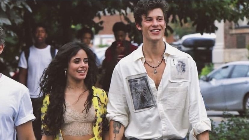 Did Shawn Mendes Just Reveal Why He Can't Commit To Camila Cabello?