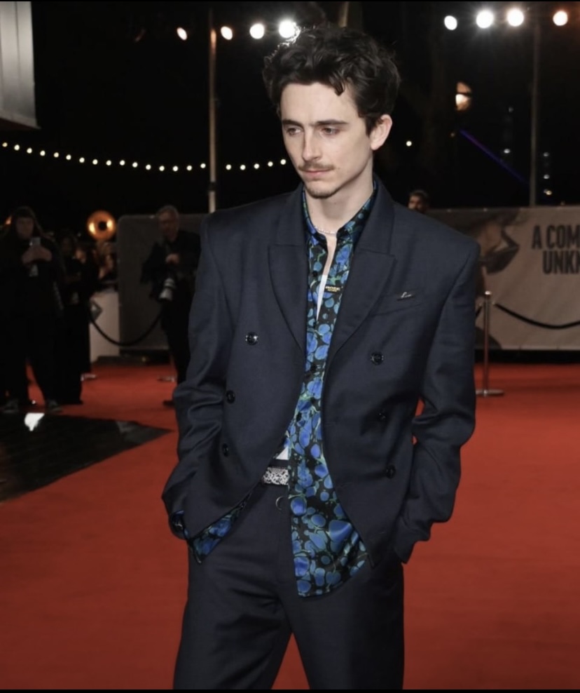 Timothee Chalamet Makes An Unforgettable Red Carpet Appearance For A Complete Unknown Premiere